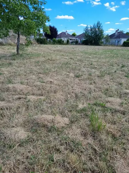 Étang d'agrément à Lorris — photo 2