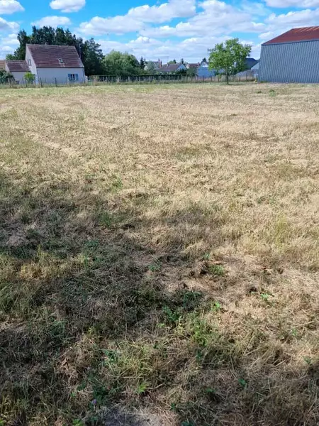 Étang d'agrément à Lorris — photo 4