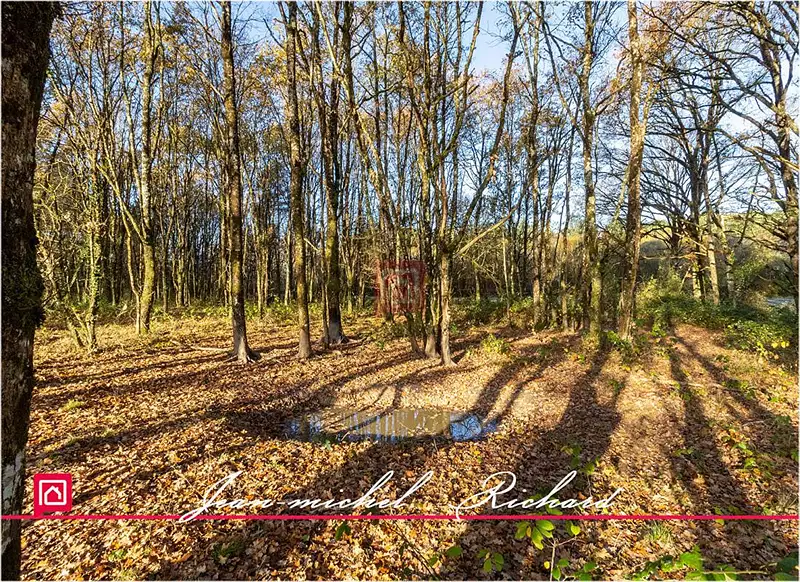 Fishing and shooting estate, 4 ha lake in the Loire Valley — photo 3