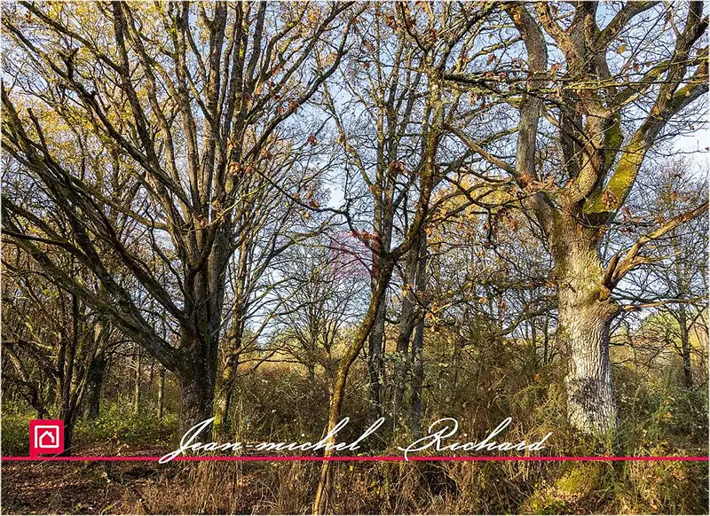 Étang de chasse de 4 ha à Courmemin — photo 3