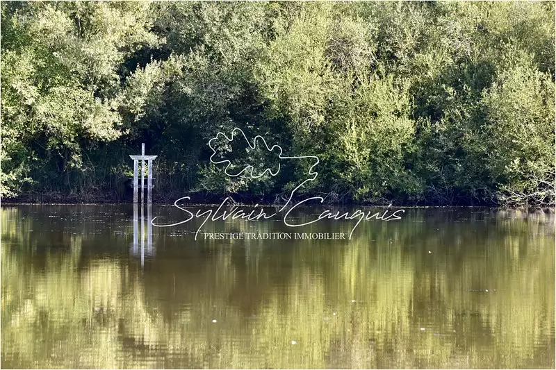 Leisure fishing and wildfowling lake, 1.5 ha in the Loire Valley — photo 5