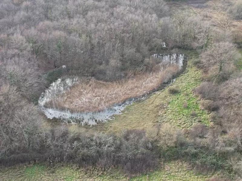 Étang d'agrément à Lys-Saint-Georges