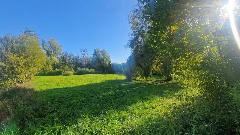 Étang d'agrément à Maintenon — photo 5