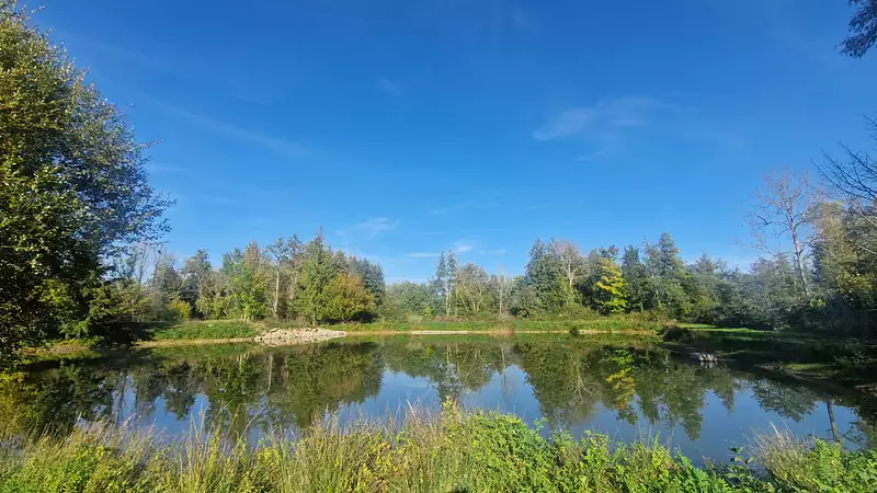 Étang d'agrément à Maintenon — photo 2