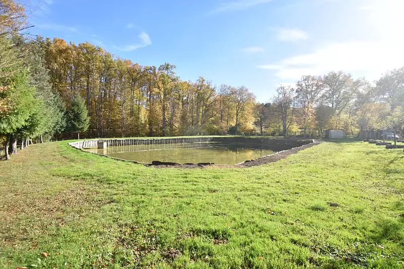 Étang d'agrément à Savigny-en-Sancerre — photo 2