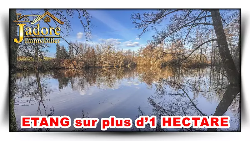 Fishing lake and lodge, 1+ ha in the Vosges — photo 2