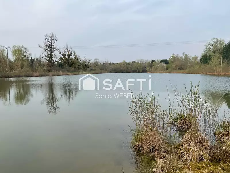 Étang de pêche à Bignicourt-sur-Marne — photo 3