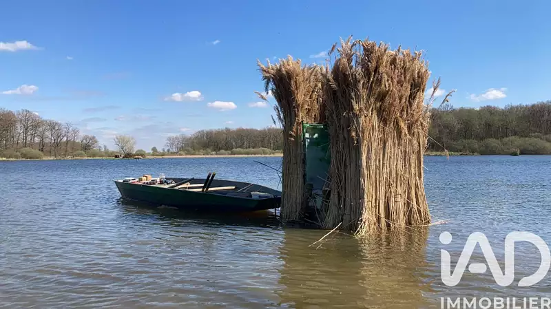 8-hectare carp fishing lake in Champagne, near Troyes — photo 4