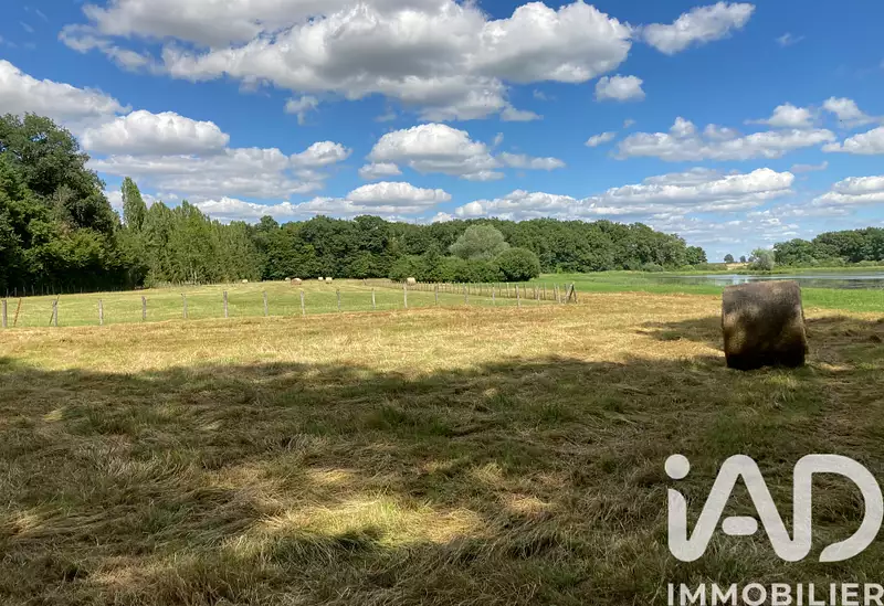 Étang de chasse de 8 ha à Géraudot — photo 3