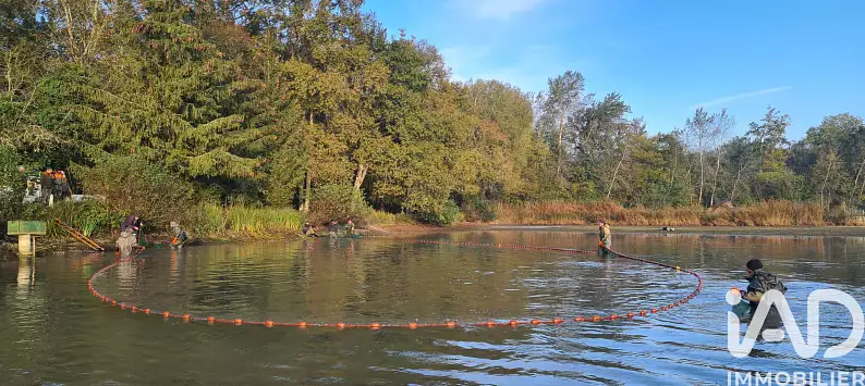 8-hectare carp fishing lake in Champagne, near Troyes — photo 5