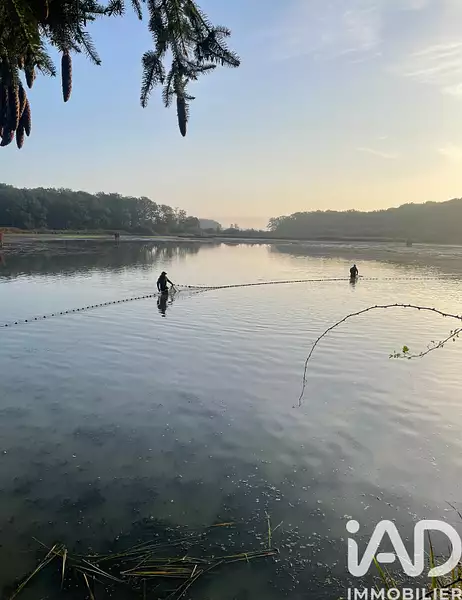 Étang de chasse de 8 ha à Géraudot — photo 4