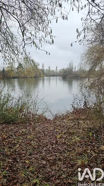 Étang de pêche de 6 ha à Ay-sur-Moselle — photo 4