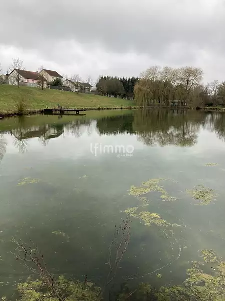 Étang de pêche à Volmerange-lès-Boulay — photo 3