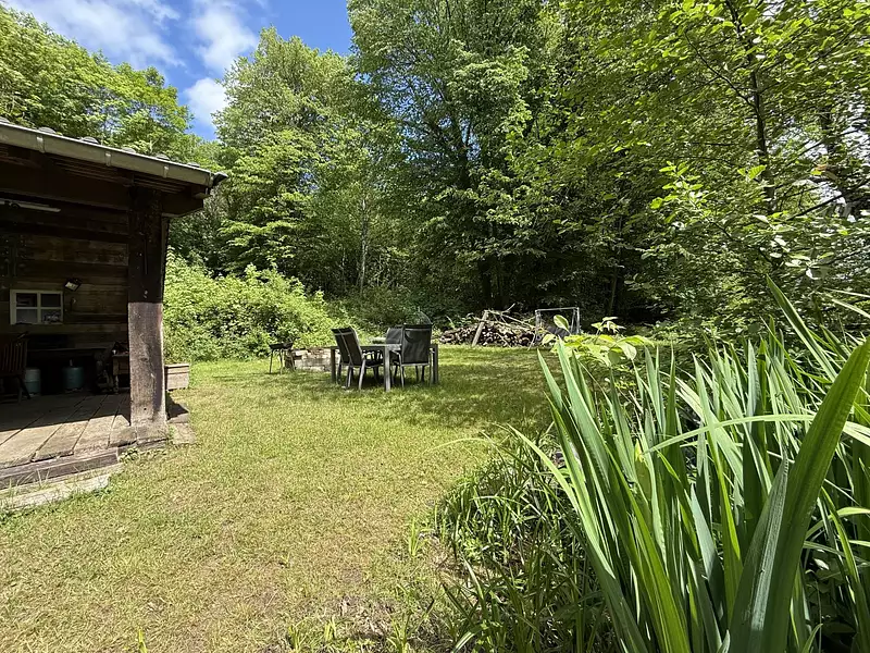 Leisure lake and woodland retreat, 2.3 ha in Lorraine — photo 3
