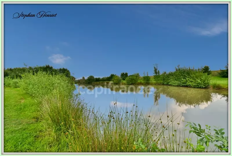 Étang de pêche à Boult-aux-Bois
