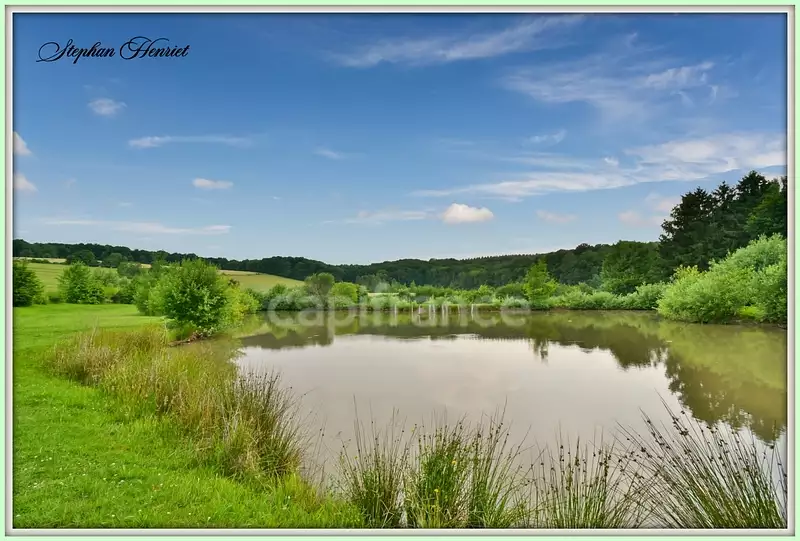 Étang de pêche à Boult-aux-Bois — photo 2