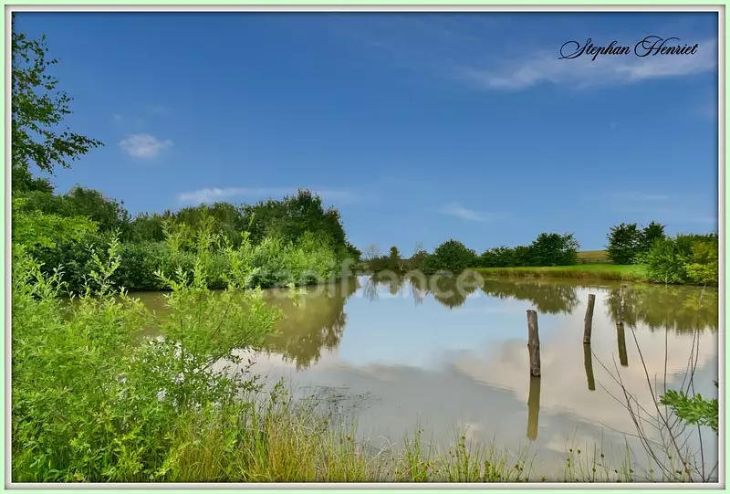 Étang de pêche à Boult-aux-Bois — photo 2