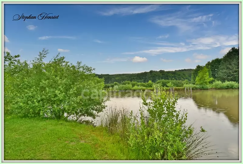 Étang de pêche à Boult-aux-Bois — photo 3