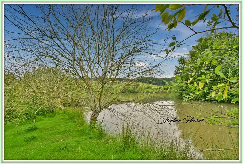 Étang de pêche à Boult-aux-Bois — photo 4