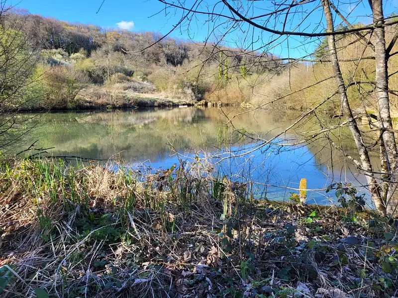 Étang de pêche à Bologne — photo 3