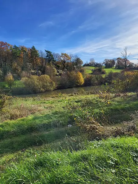 Étang de pêche à Bologne — photo 4