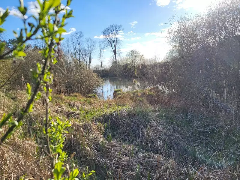 Étang de pêche à Bologne — photo 2