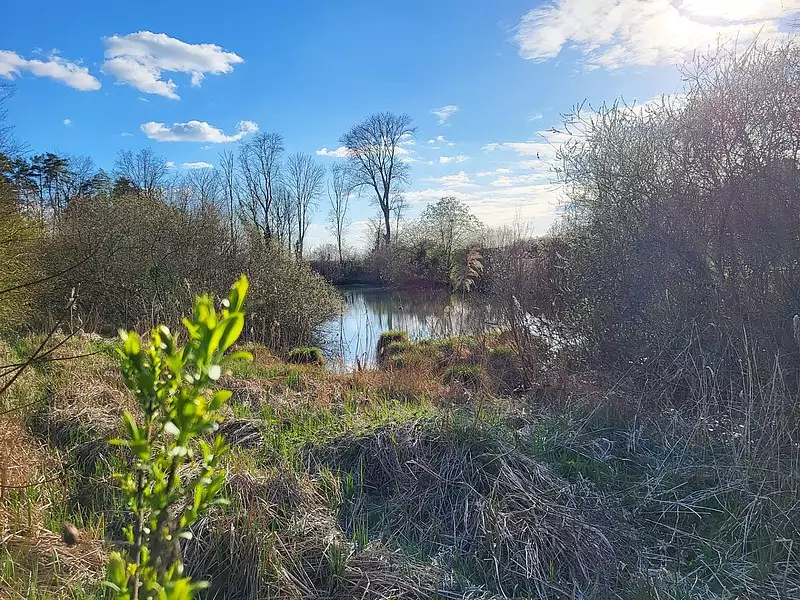 Étang de pêche à Bologne