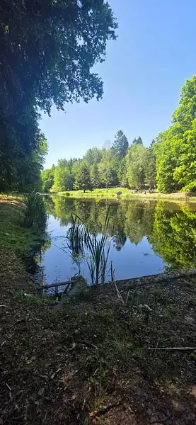 Étang de pêche à Reyersviller — photo 3