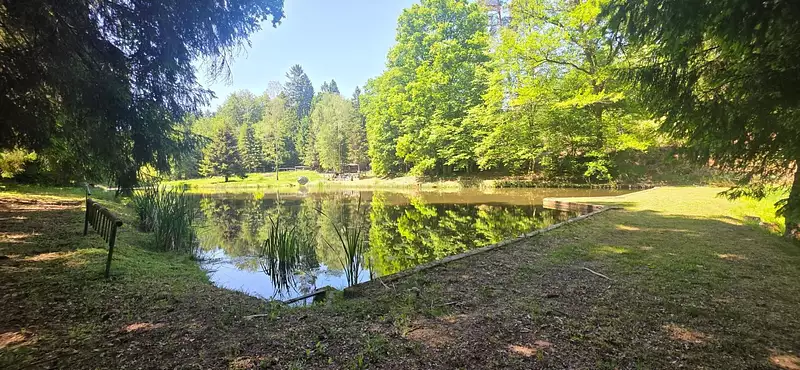 Étang de pêche à Reyersviller — photo 2