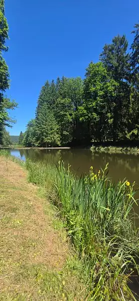 Étang de pêche à Reyersviller
