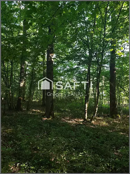 Étang d'agrément de 4,31 ha à Metz — photo 4