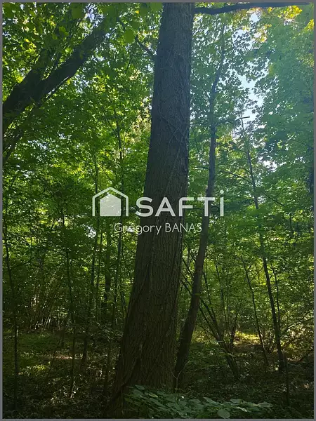 Étang d'agrément de 4,31 ha à Metz — photo 3
