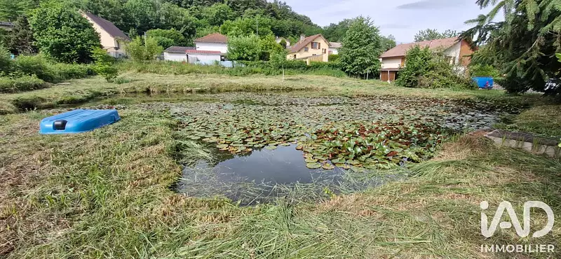 Étang d'agrément à Epinal