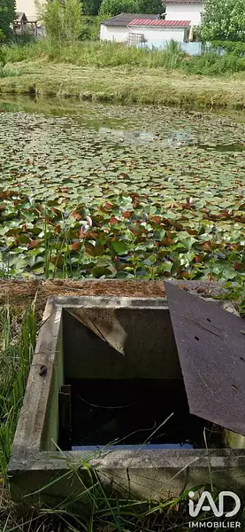 Étang d'agrément à Epinal — photo 4