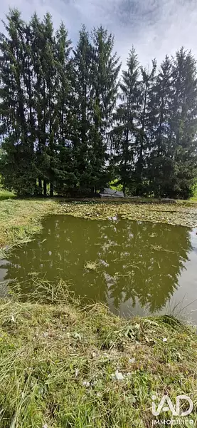 Étang d'agrément à Epinal — photo 3