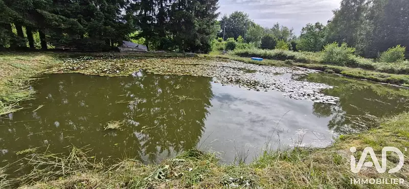 Étang d'agrément à Epinal — photo 2