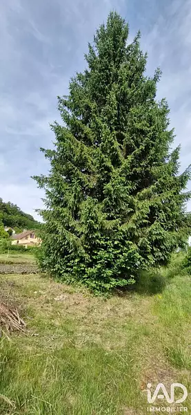 Étang d'agrément à Epinal — photo 5