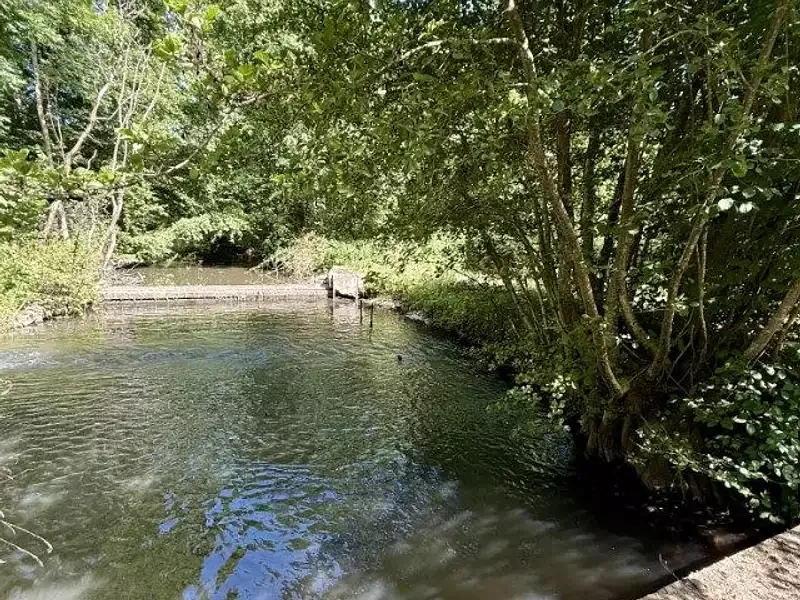 Étang de loisir à Vitry Le Francois (51) — photo 4