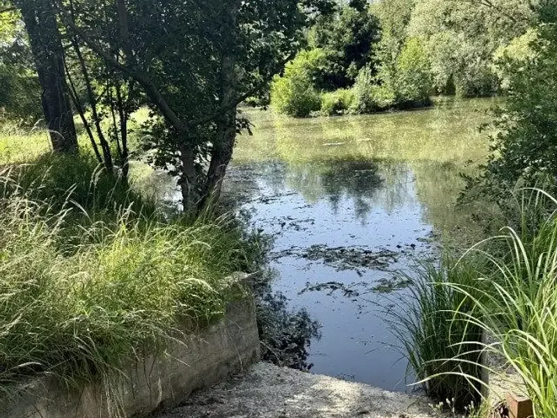 Étang de loisir à Vitry Le Francois (51) — photo 5