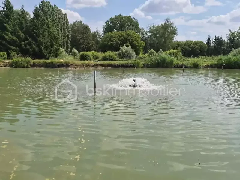 Étang de pêche à Han Sur Nied (57)