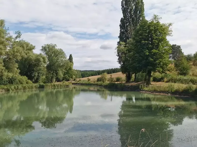 Étang de pêche à Bibiche (57) — photo 2