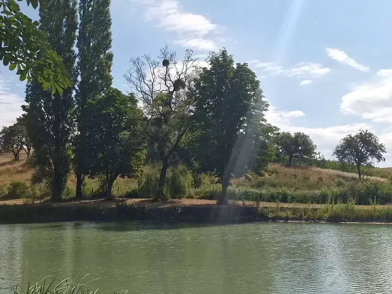 Étang de pêche à Bibiche (57) — photo 4