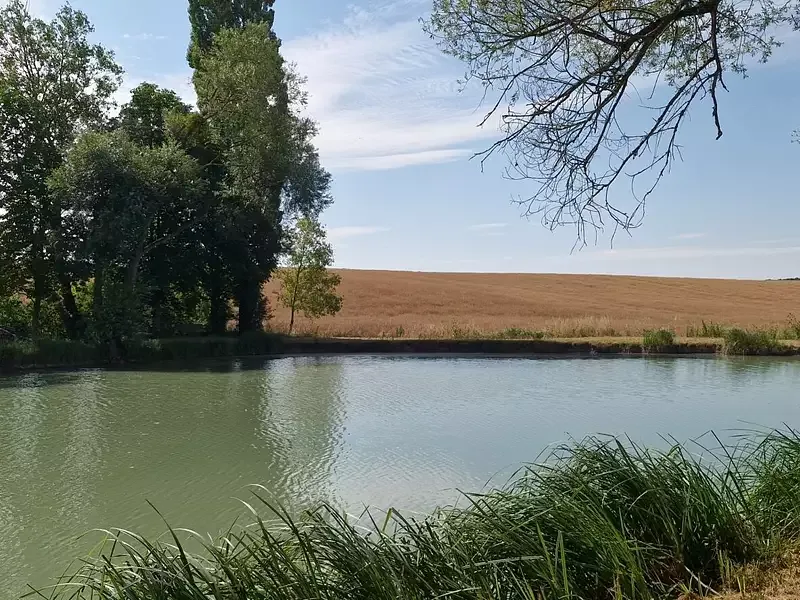Étang de pêche à Bibiche (57) — photo 5