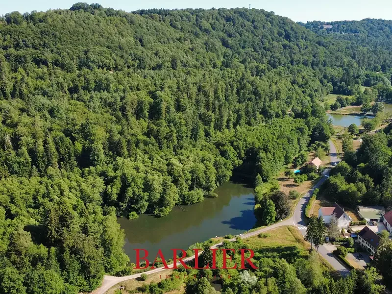 Étang de pêche à La Petite Pierre (67) — photo 2