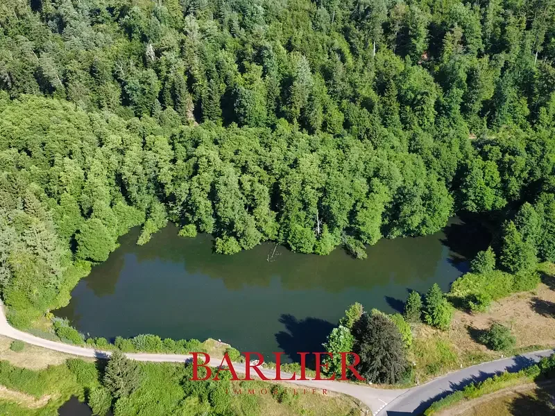 Étang de pêche à La Petite Pierre (67) — photo 3
