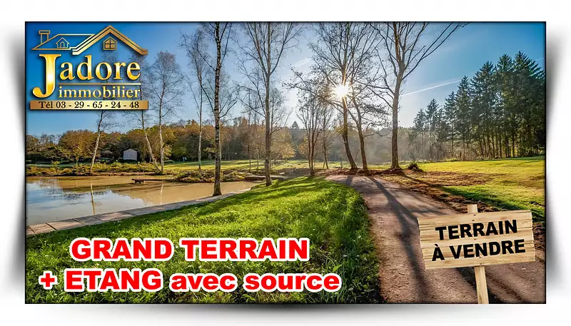 Étang d'agrément à Saulcy-sur-Meurthe