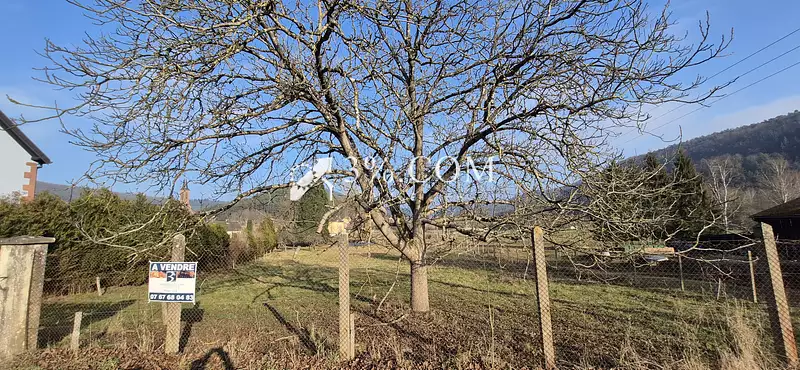 Étang d'agrément à Eguelshardt — photo 3