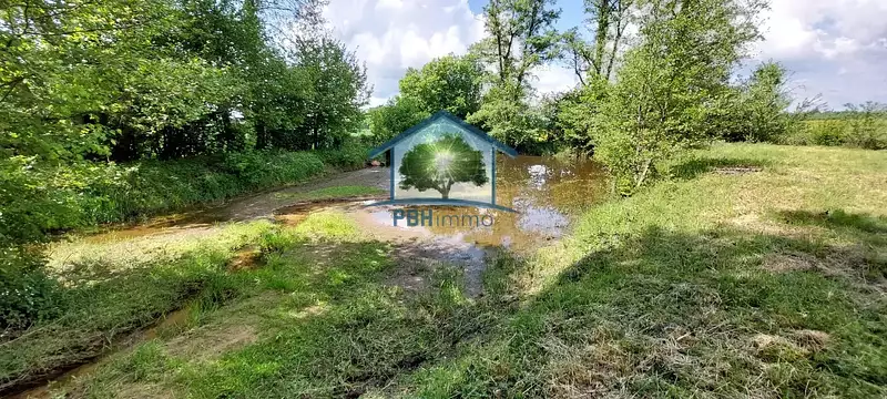 Fishing lake and leisure pond, 0.18 ha in the Vosges — photo 3