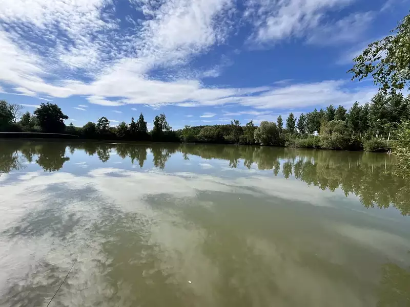 Étang d'agrément de 1 ha à Fismes — photo 2