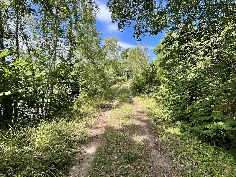 Étang d'agrément de 1 ha à Fismes — photo 4
